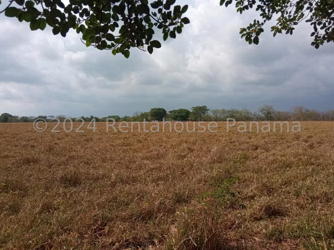 Terreno en Venta en David YM