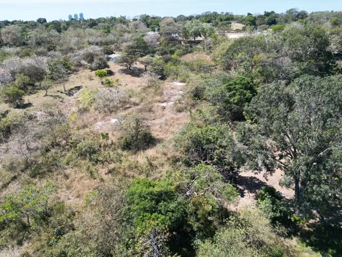 Terreno en Venta en San Carlos 6000m2 colinda con Río