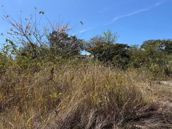 Terreno en Venta en San Carlos 6000m2 colinda con Río - Imagen 3