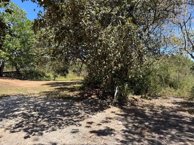 Terreno en Venta en San Carlos 6000m2 colinda con Río - Imagen 4