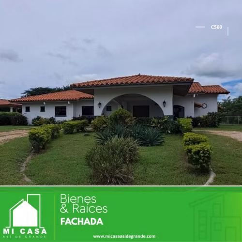 Alquiler o Venta Casa En Penonomé