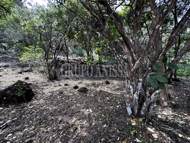 Se Vende Hermoso Lote en Santo Domingo Altos del Maria