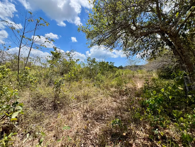 EL HIGO TERRENO EN VENTA