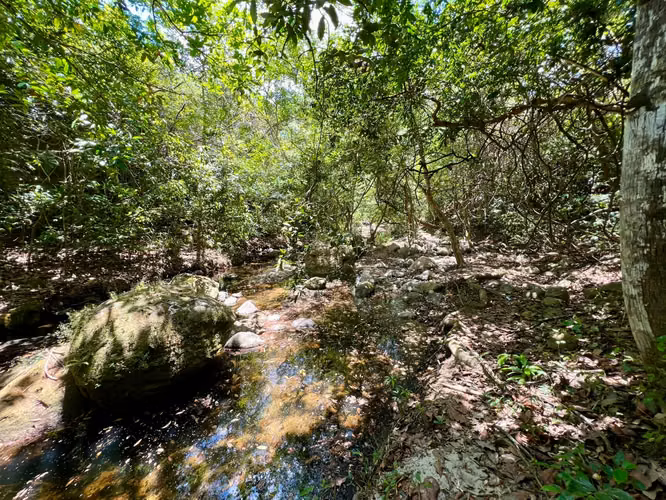 EL HIGO TERRENO EN VENTA