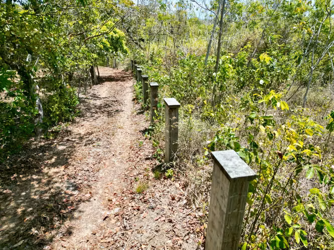 EL HIGO TERRENO EN VENTA
