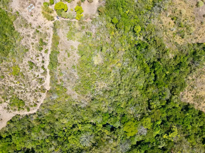 EL HIGO TERRENO EN VENTA