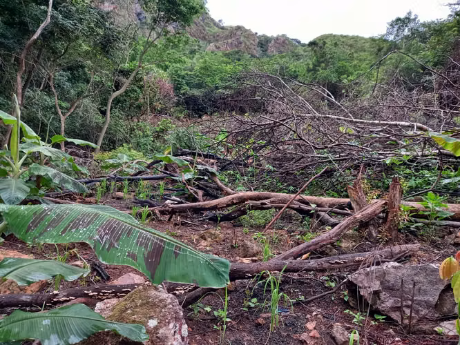 VENTA DE TERRENO EN LIBANO, CHAME. CERCA DE LAS PLAYAS GORGONA