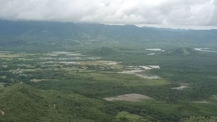 VENTA DE TERRENO EN LIBANO, CHAME. CERCA DE LAS PLAYAS GORGONA