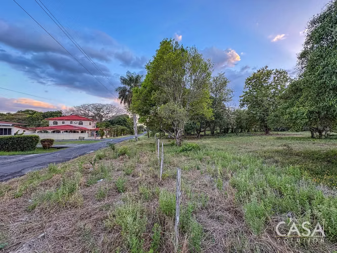Lote Residencial De 3,999 M² En Venta En La Perla, David - Chiriquí