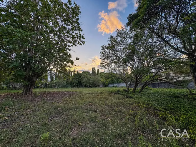 Lote Residencial De 3,999 M² En Venta En La Perla, David - Chiriquí