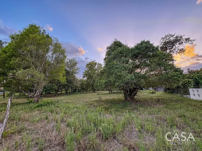 Lote Residencial De 3,999 M² En Venta En La Perla, David - Chiriquí