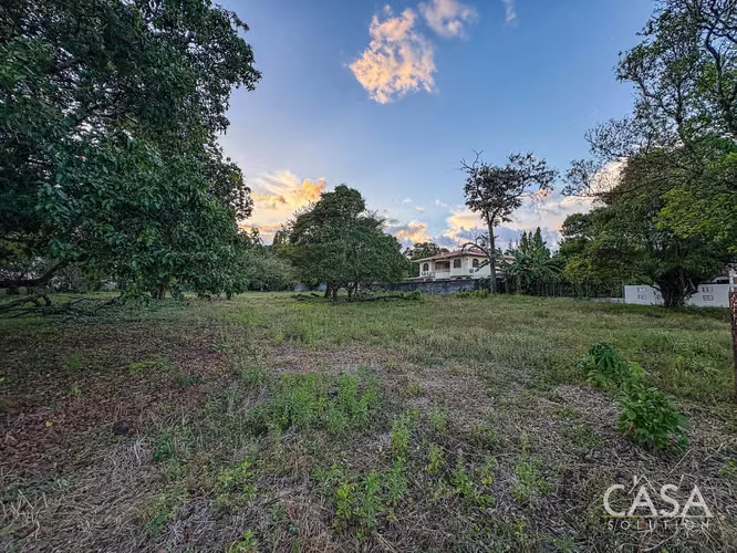 Lote Residencial De 3,999 M² En Venta En La Perla, David - Chiriquí