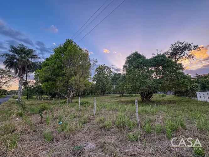 Lote Residencial De 3,999 M² En Venta En La Perla, David - Chiriquí