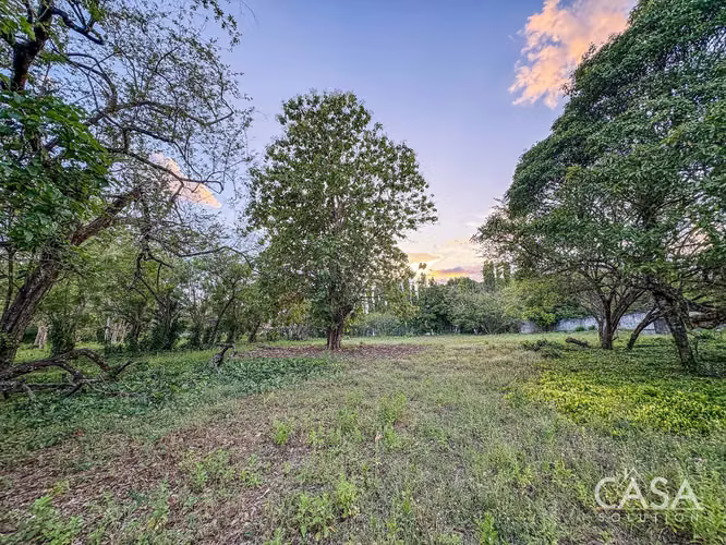 Lote Residencial De 3,999 M² En Venta En La Perla, David - Chiriquí