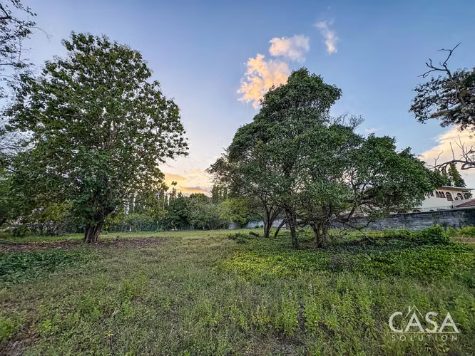Lote Residencial De 3,999 M² En Venta En La Perla, David - Chiriquí