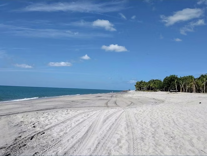 Terreno Frente al Mar con Vistas Panorámicas en Playa El Higo, Panamá