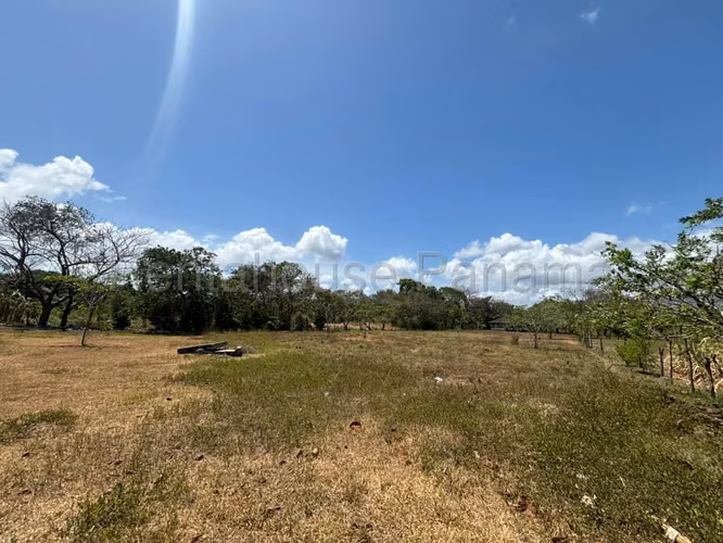 Venta de terreno de 6650m² en Chame 26JSS6629