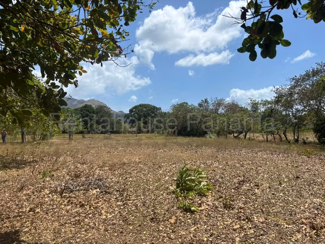 Venta de terreno de 6650m² en Chame 26JSS6629