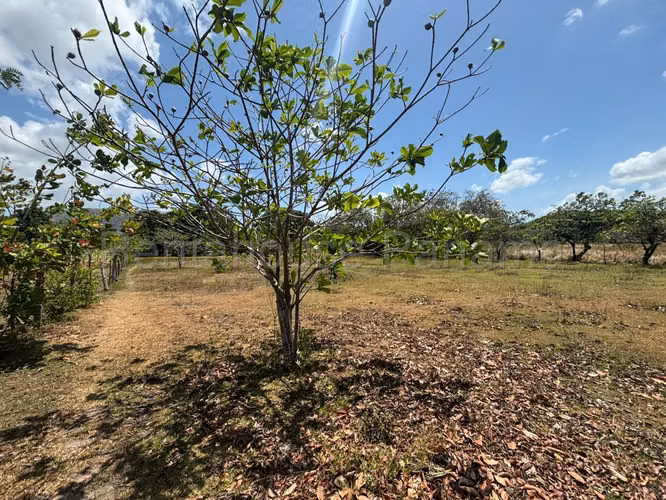 Venta de terreno de 6650m² en Chame 26JSS6629