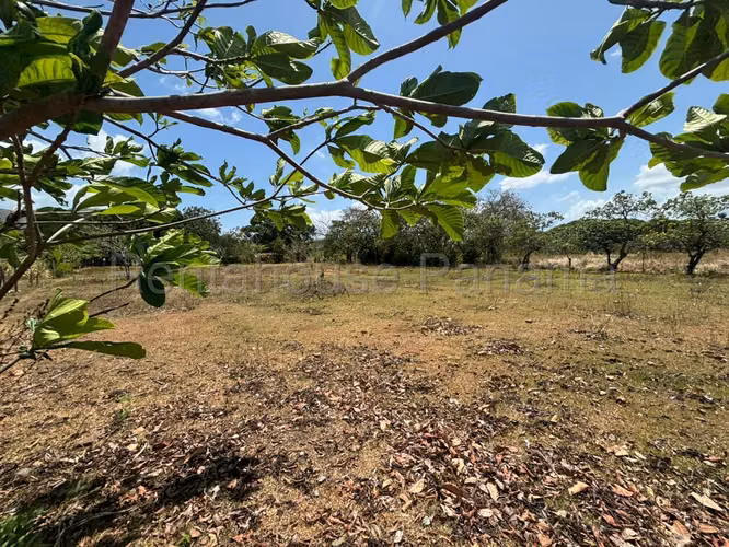 Venta de terreno de 6650m² en Chame 26JSS6629
