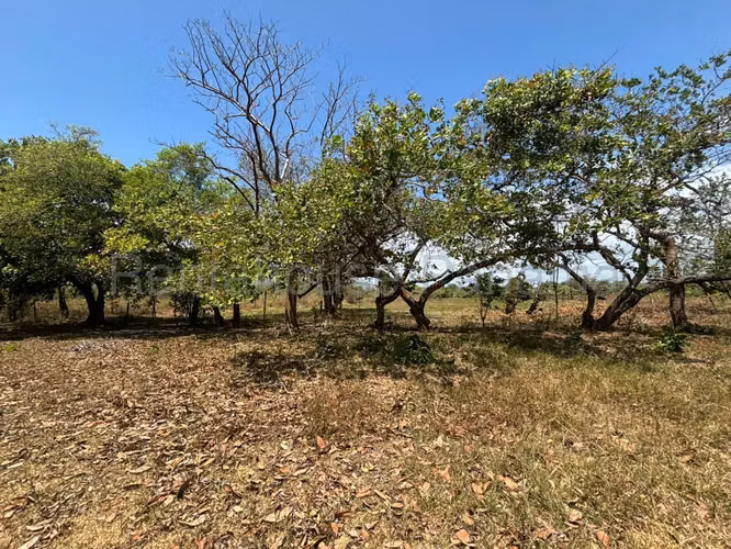 Venta de terreno de 6650m² en Chame 26JSS6629