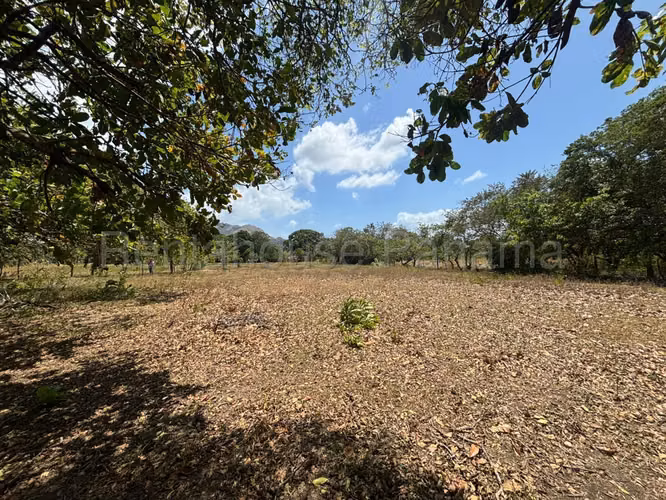 Venta de terreno de 6650m² en Chame 26JSS6629