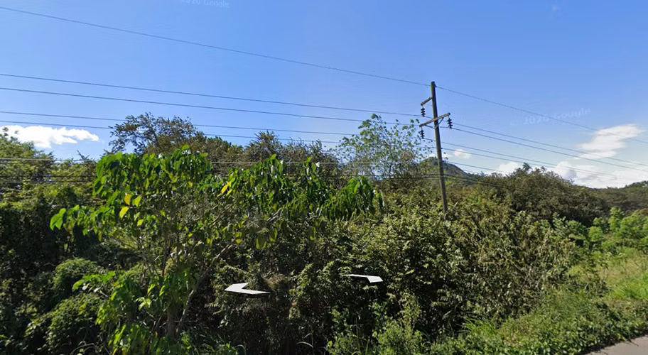 Venta de Finca en Río Grande, Natá, Coclé, 120 hectáreas