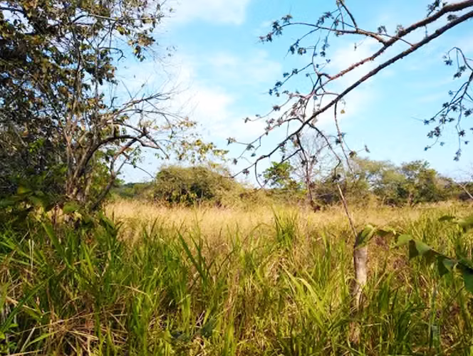 Se Vende Terreno en área de playas Punta Barco
