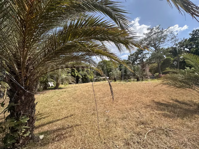 Sale of Spine Plane Land in Nueva Gorgona