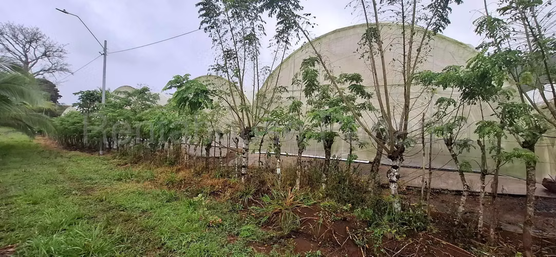 Terreno En Alquiler En La Chorrera ABS
