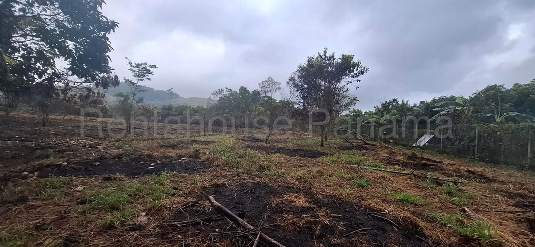 Terreno En Alquiler En La Chorrera ABS