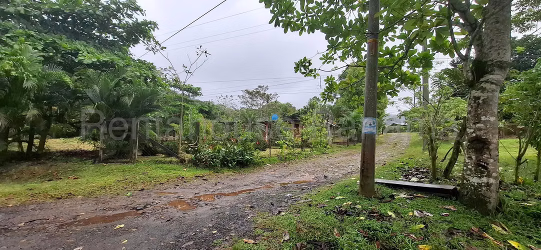 Terreno En Alquiler En La Chorrera ABS