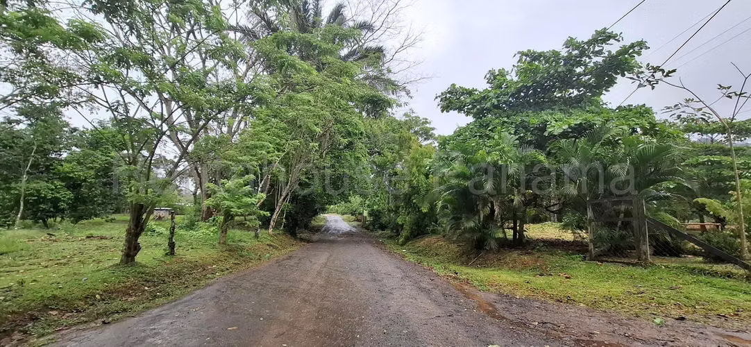 Terreno En Alquiler En La Chorrera ABS