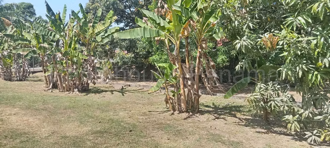 VENTA DE TERRENO EN TERRENO CHILIBRE CHILIBRE CENTRO HQ