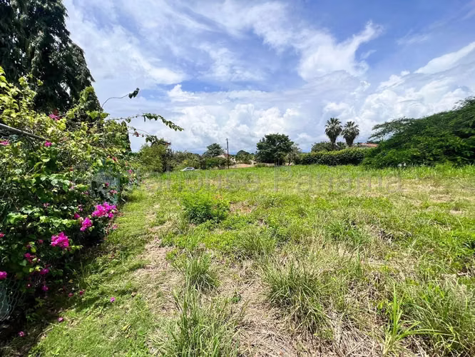 Land For Sale In New Gorgona ABS