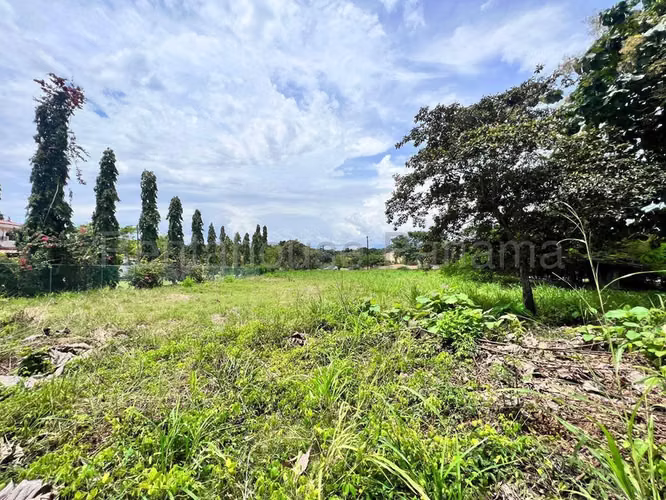 Terreno En Venta En Nueva Gorgona ABS
