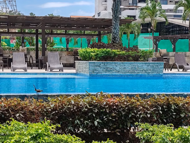 En venta excelente apartamento en PH Country Club, Condado del Rey. - Imagen 4