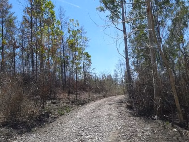 Finca para inversion – Mesa de San Martín, Loma Bonita
