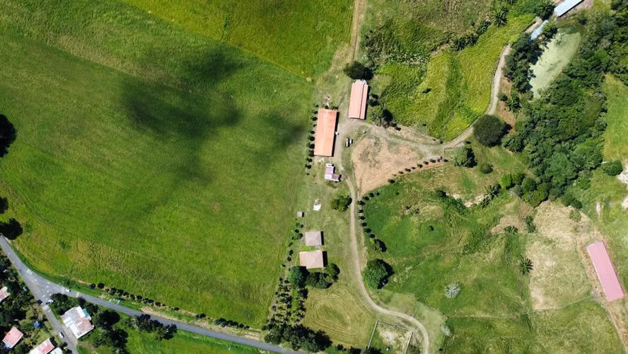 VENDO FINCA PRODUCTIVA 44 HECTAREAS PARA INVERSION GANADERIA Y AGRO INDUSTRIAL