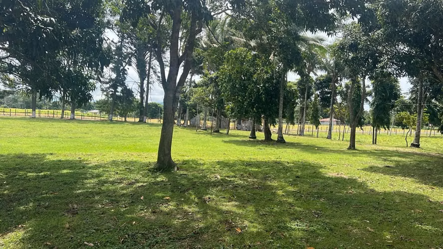 VENDO FINCA PRODUCTIVA 44 HECTAREAS PARA INVERSION GANADERIA Y AGRO INDUSTRIAL