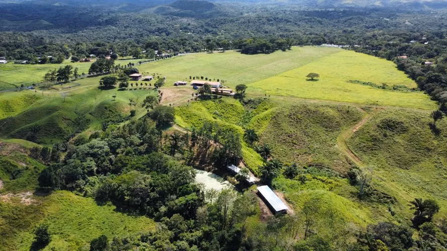 VENDO FINCA PRODUCTIVA 44 HECTAREAS PARA INVERSION GANADERIA Y AGRO INDUSTRIAL