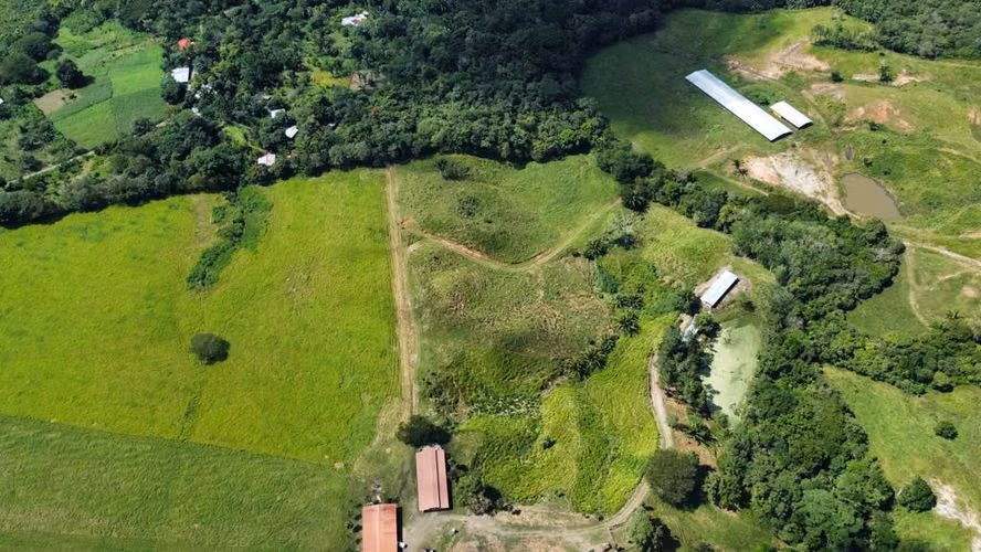 VENDO FINCA PRODUCTIVA 44 HECTAREAS PARA INVERSION GANADERIA Y AGRO INDUSTRIAL