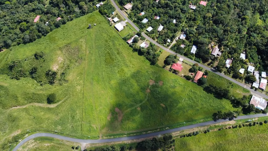 SELL PRODUCTIVE FARM 44 HECTARES FOR INVESTMENT LIVESTOCK AND AGRICULTURAL INDUSTRY