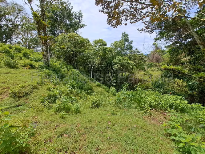 VENTA DE TERRENO EN COCLE MCD25-8652