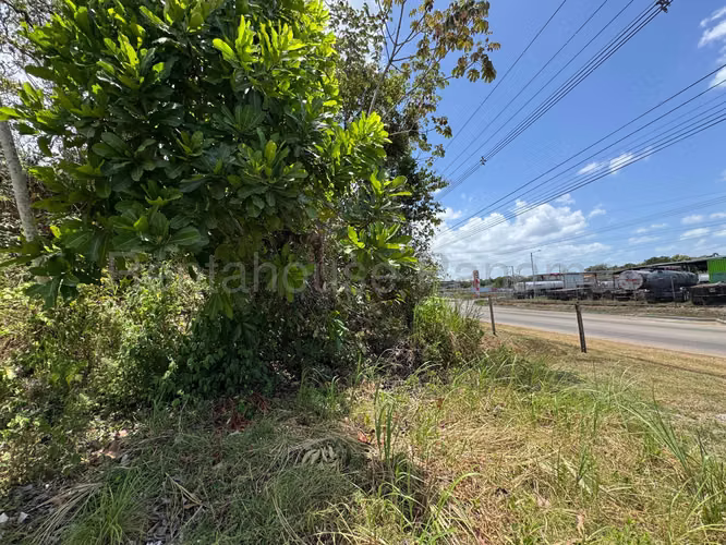 VENTA DE TERRENO EN PACORA MCD26-1609