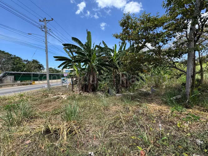 VENTA DE TERRENO EN PACORA MCD26-1609