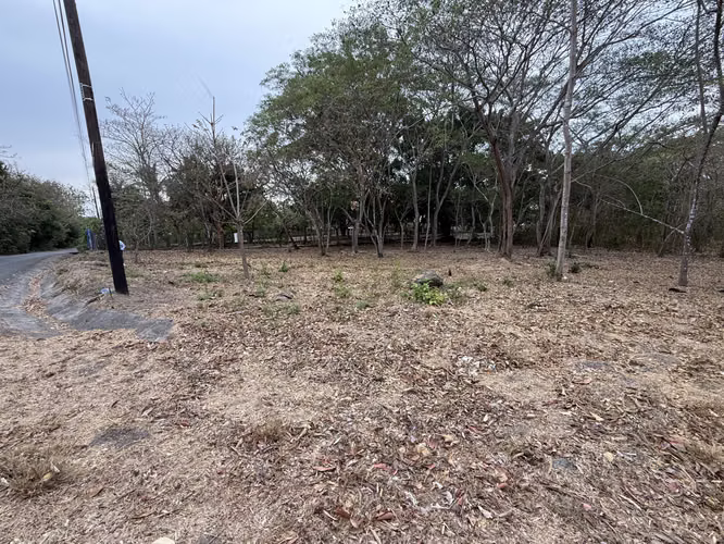 Terreno cerca al mar en San Carlos Playa Grande en venta | NEGOCIABLE - Imagen 5