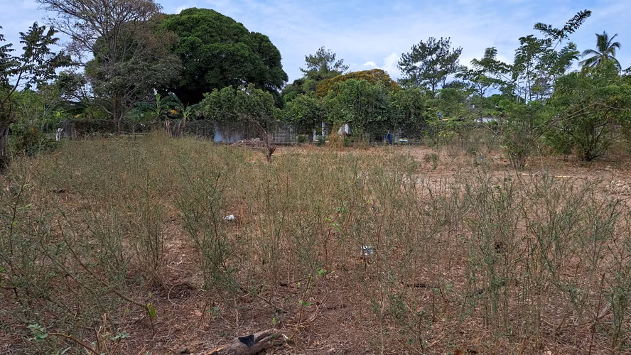 Lote en Chame Sector  La Paz