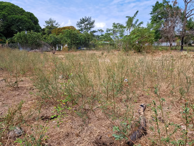 Lote en Chame Sector  La Paz