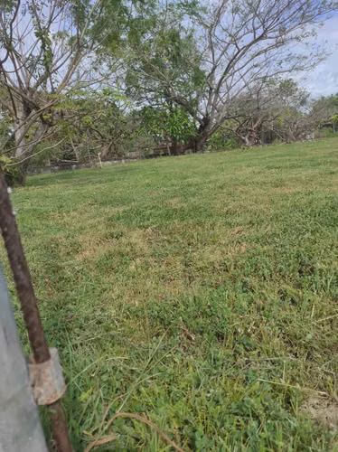 Vendo terreno 1,099mt2 en Playa Gorgona - Imagen 5